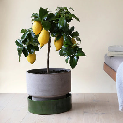 Hoff Ø30 Planter