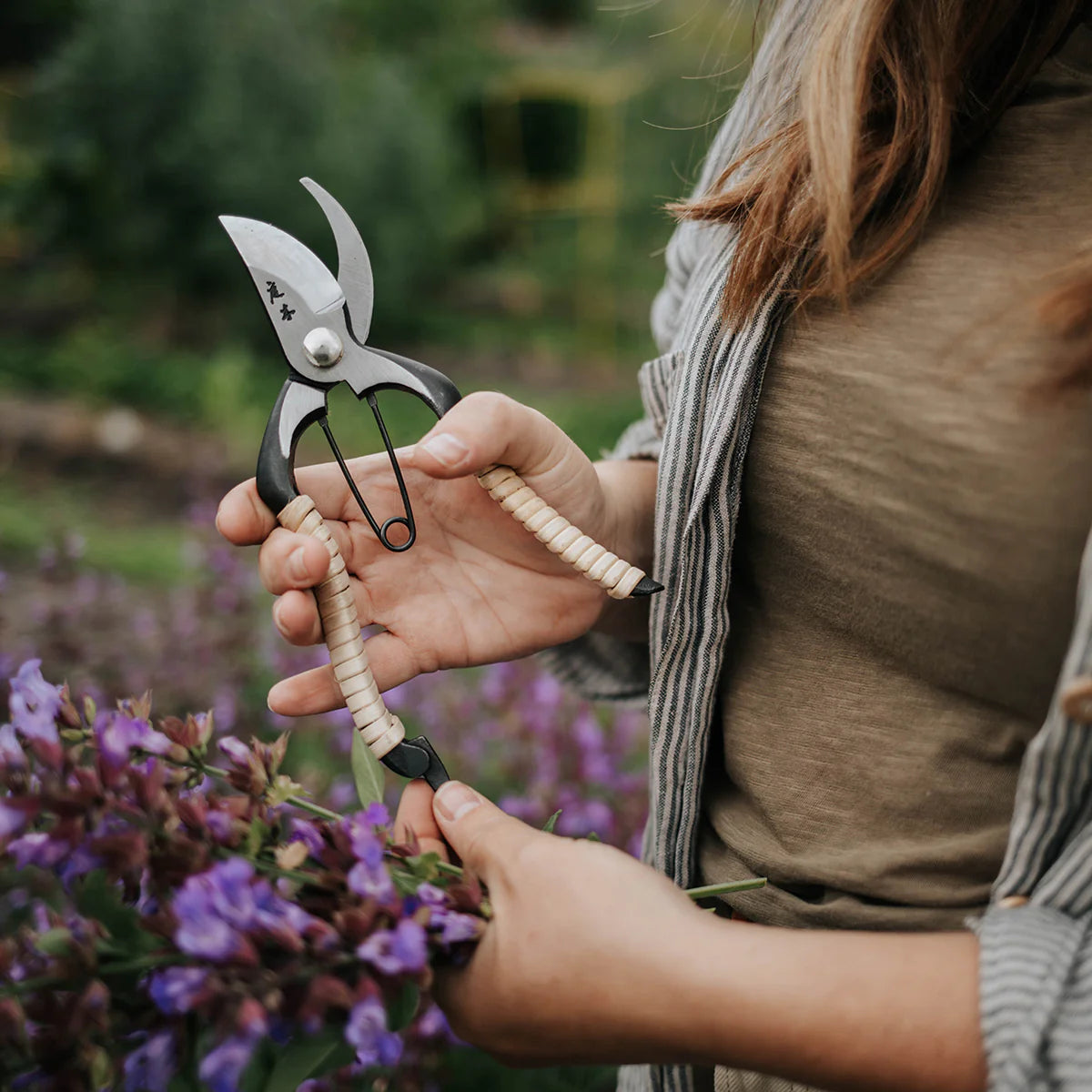 Fujimaki Rattan Secateurs