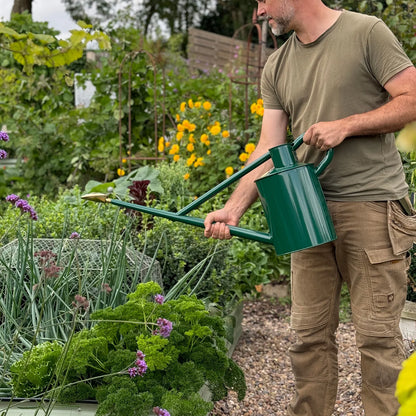 The Warley Fall (Two Gallon)